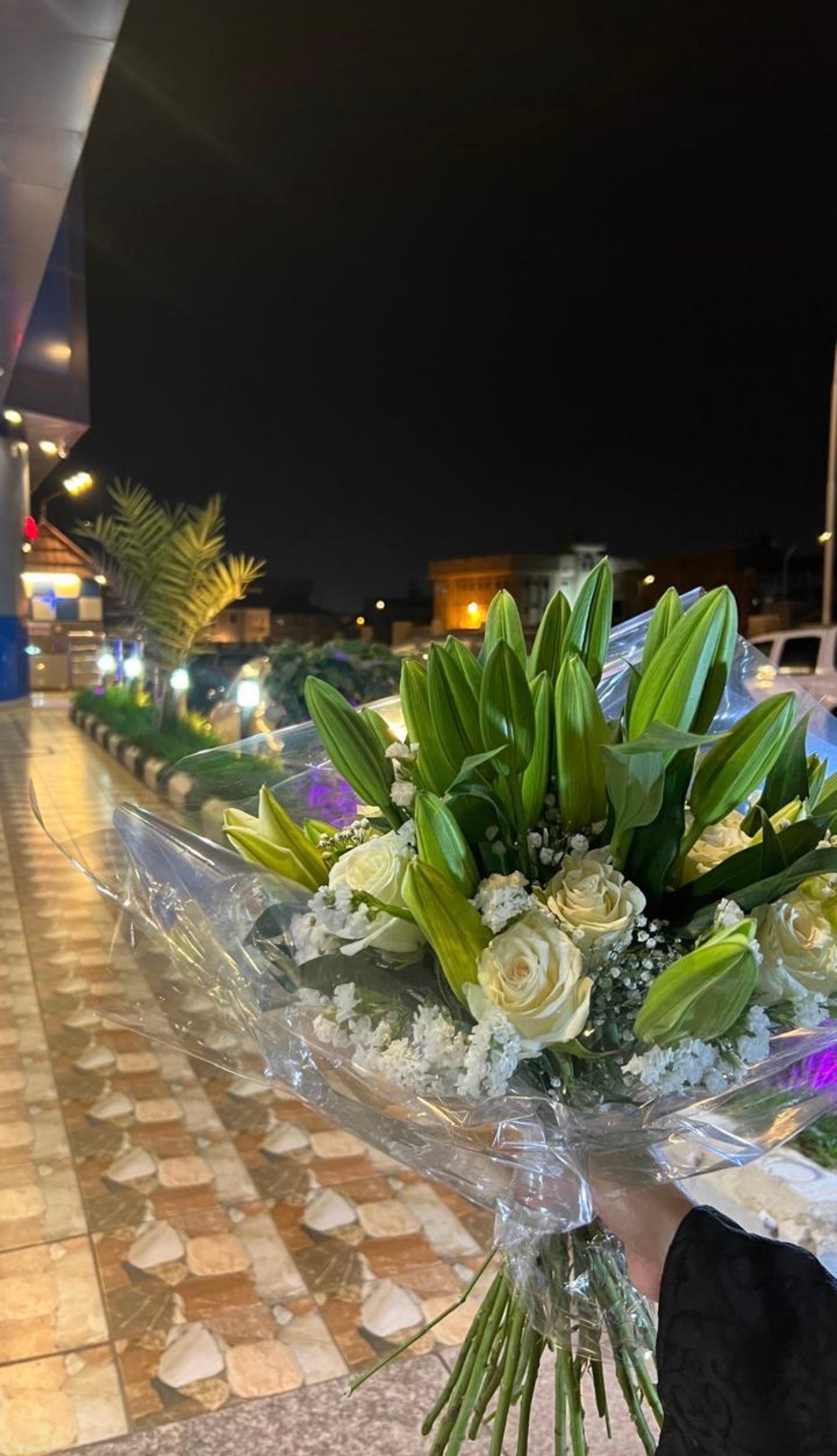 صورة المعلم