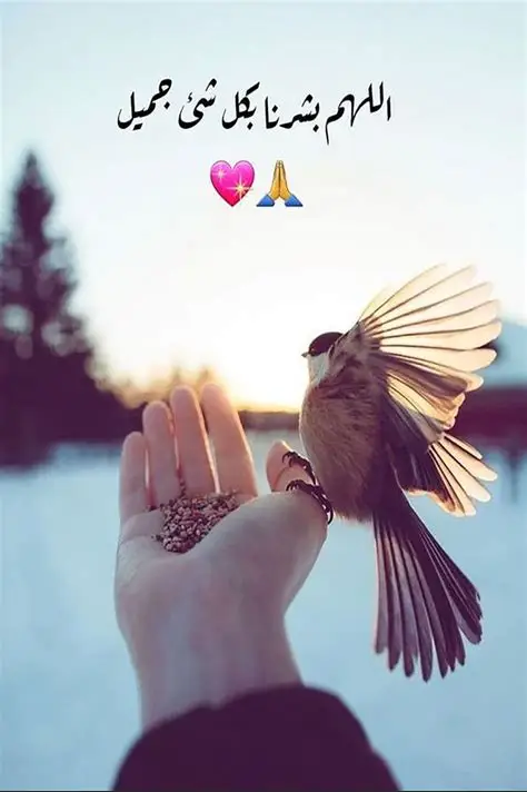 صورة المعلم