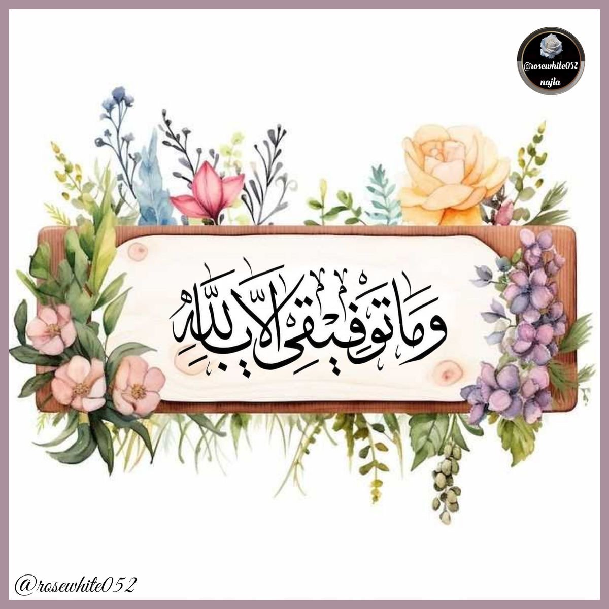 صورة المعلم