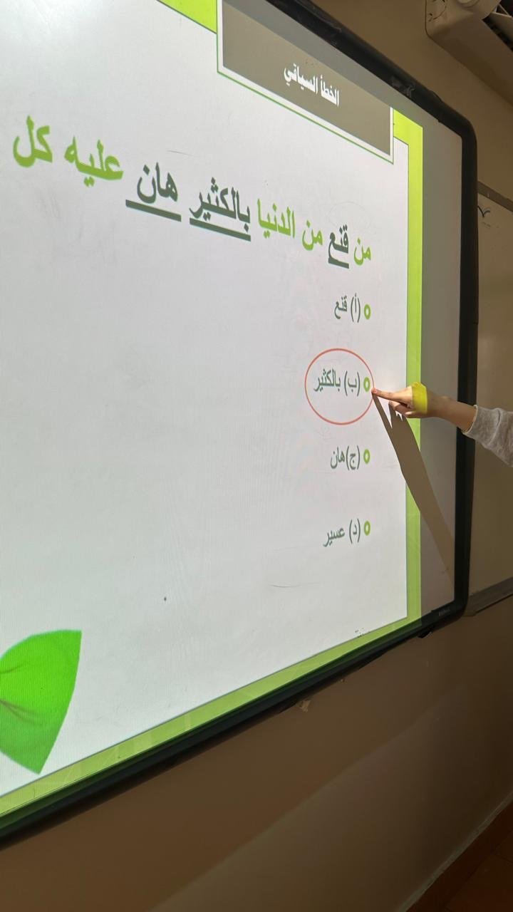المشروع