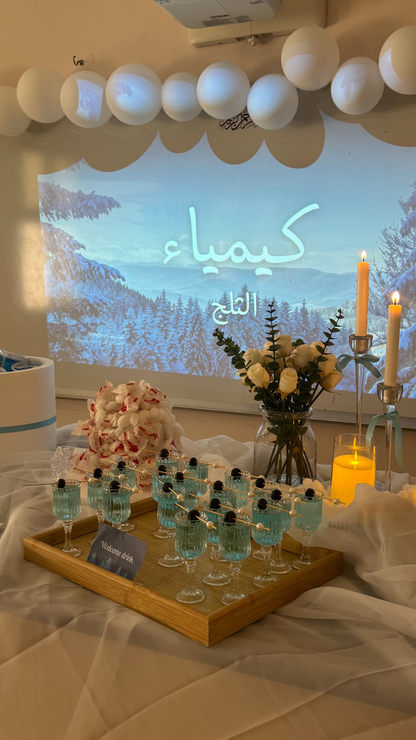 المشروع