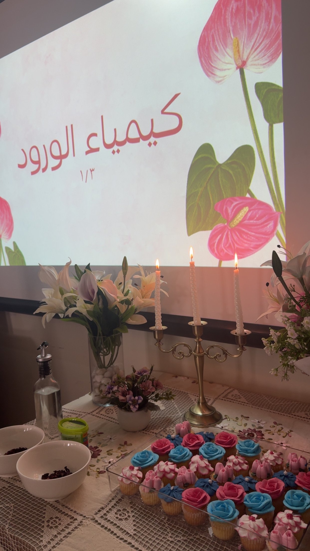 المشروع